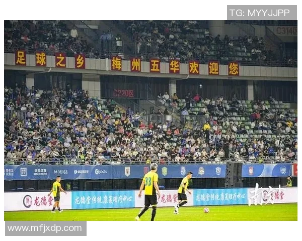 提升你的足球技巧观看精彩足球技能视频助你成为场上明星