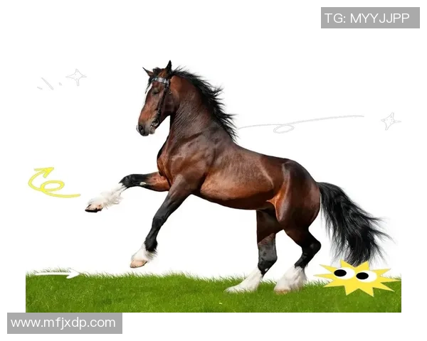 足球明星头像写实照片展现运动员风采与个性魅力的完美结合 足球明星头像写实照片展现运动员风采与个性魅力的完美结合