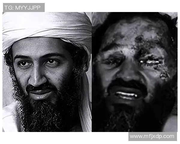 足球明星法老的妻子揭秘：她背后的故事与生活点滴