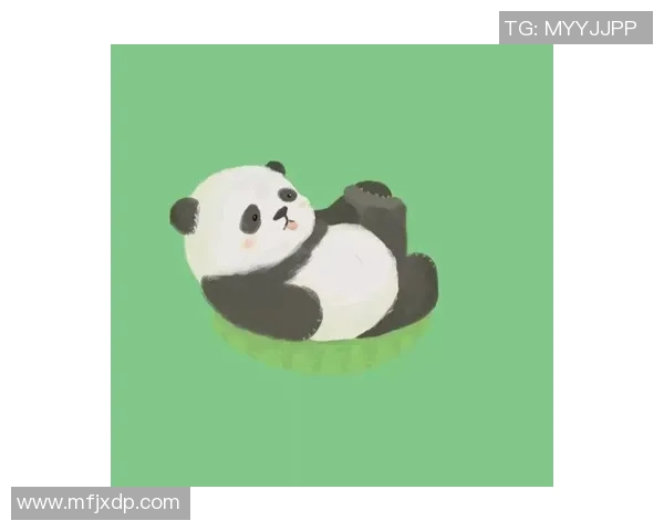 足球明星熊猫头像的创意设计与文化融合探讨